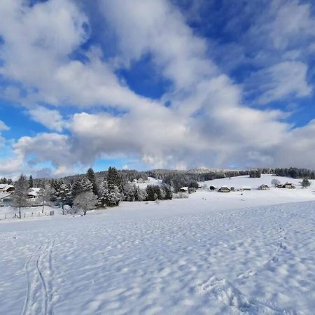 Gemuetliche Ferienwohnung Fuer 4 Gaeste In Schoenwald Schönwalde المظهر الخارجي الصورة