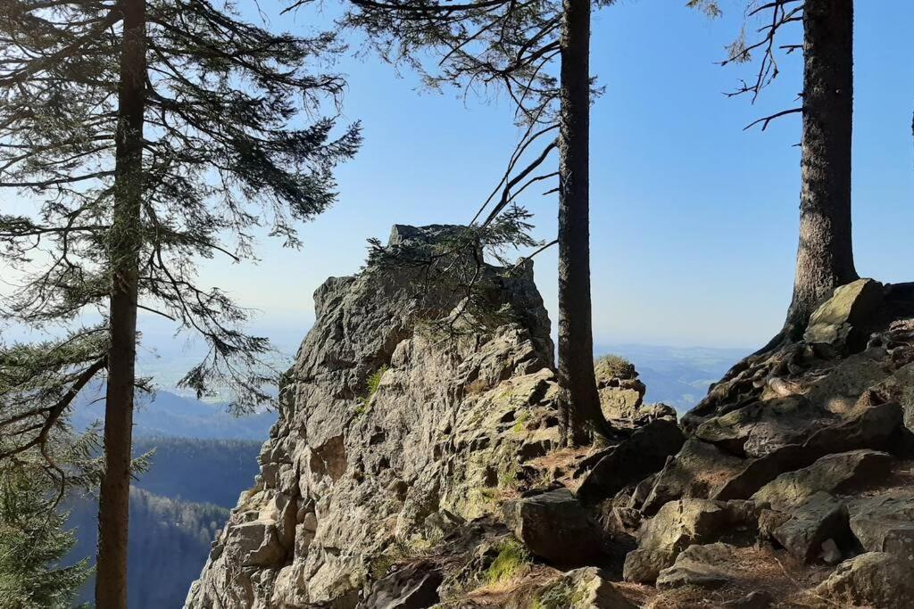 Gemuetliche Ferienwohnung Fuer 4 Gaeste In Schoenwald Schönwalde المظهر الخارجي الصورة